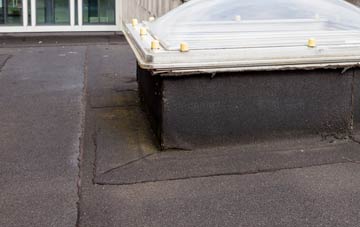 disadvantages of Portnalong flat roofs